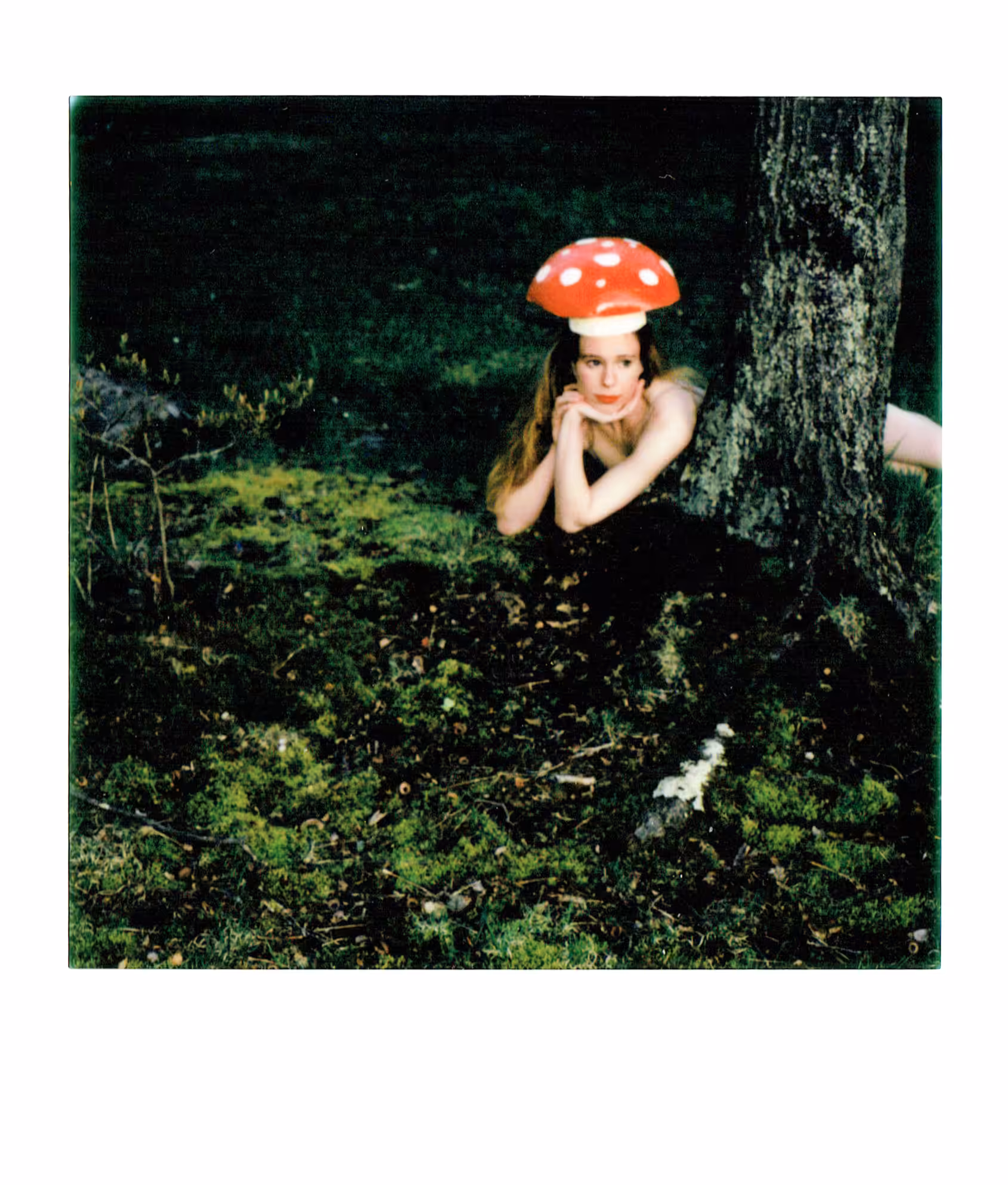 Mushroom