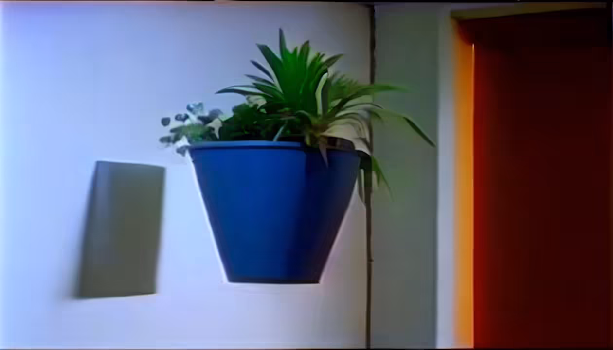 Weird Plants
