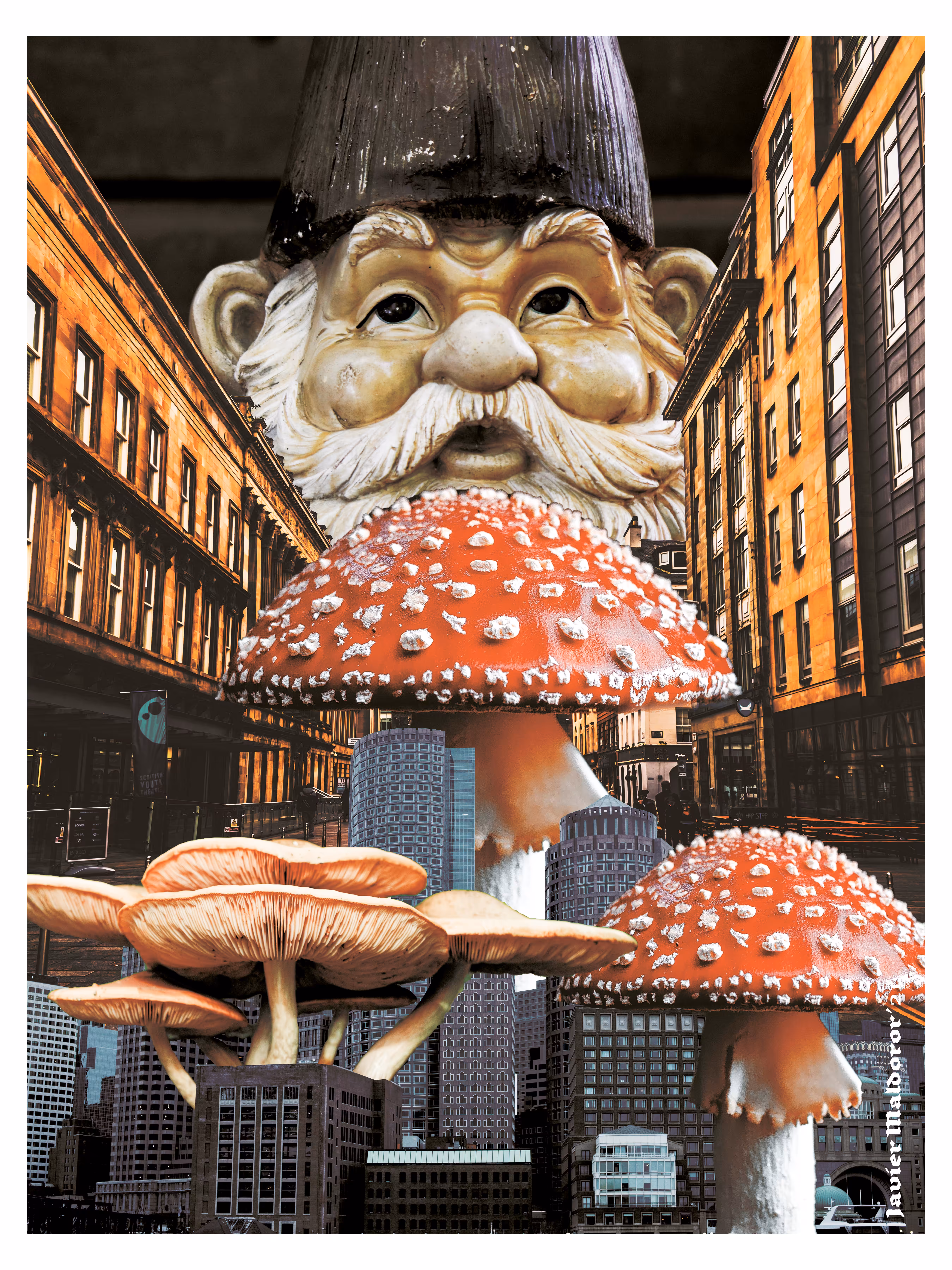 Shroom City