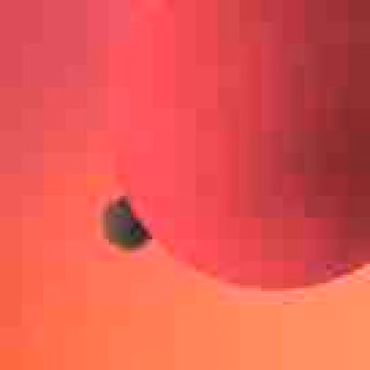 Orbits: Orbit 402508719