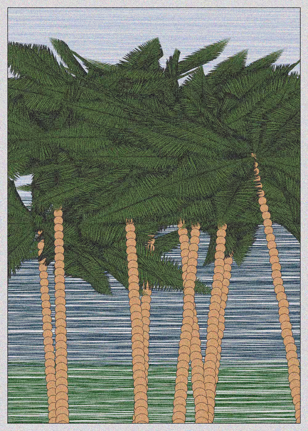 Hawaii #13