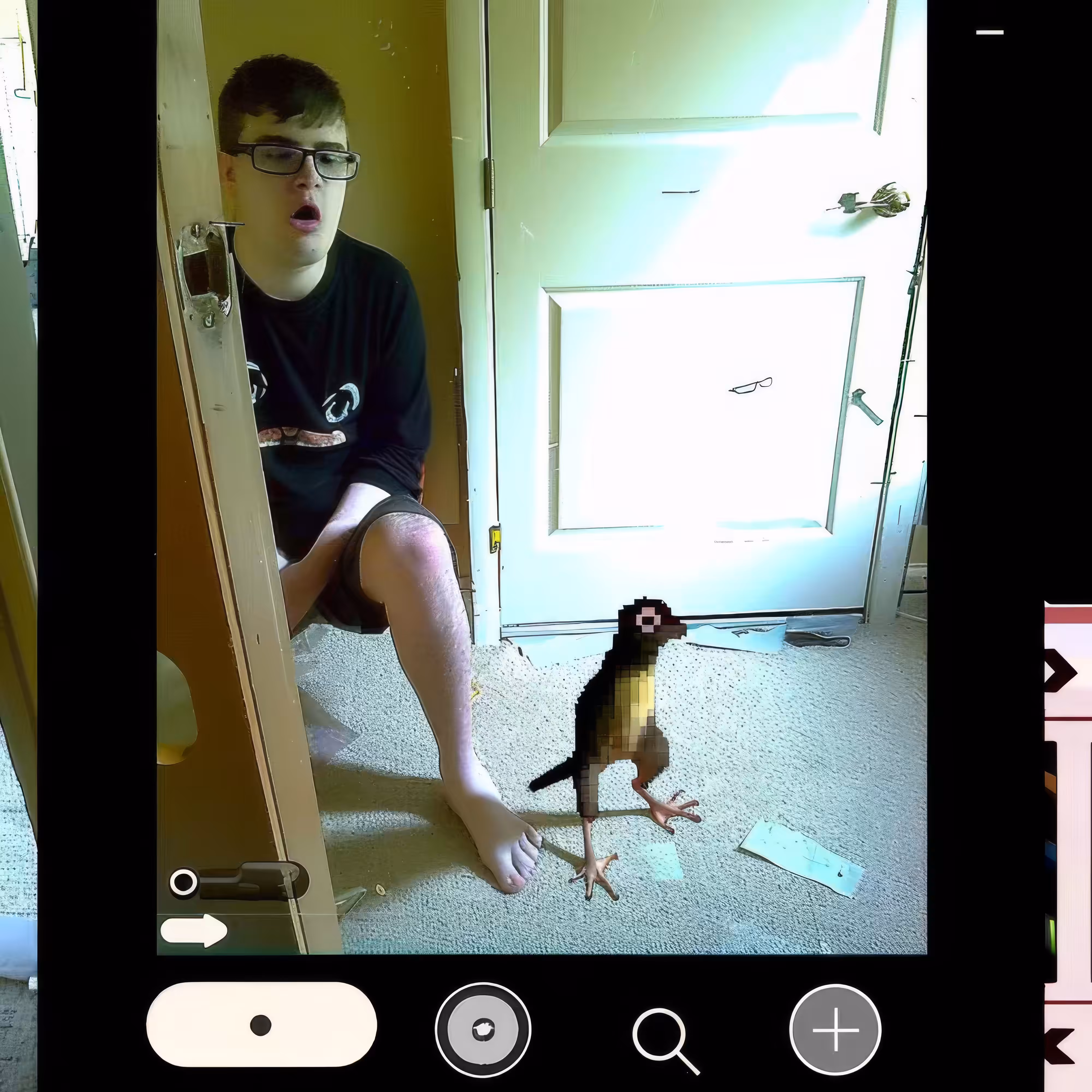 BAD JPEGs: This-My-Bird