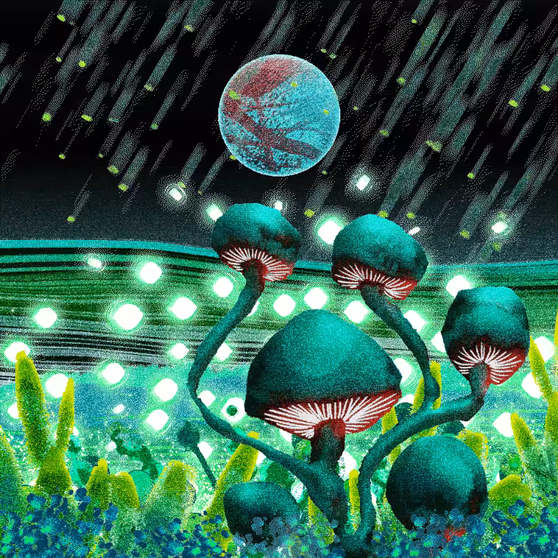 Onablo's Herbs #70