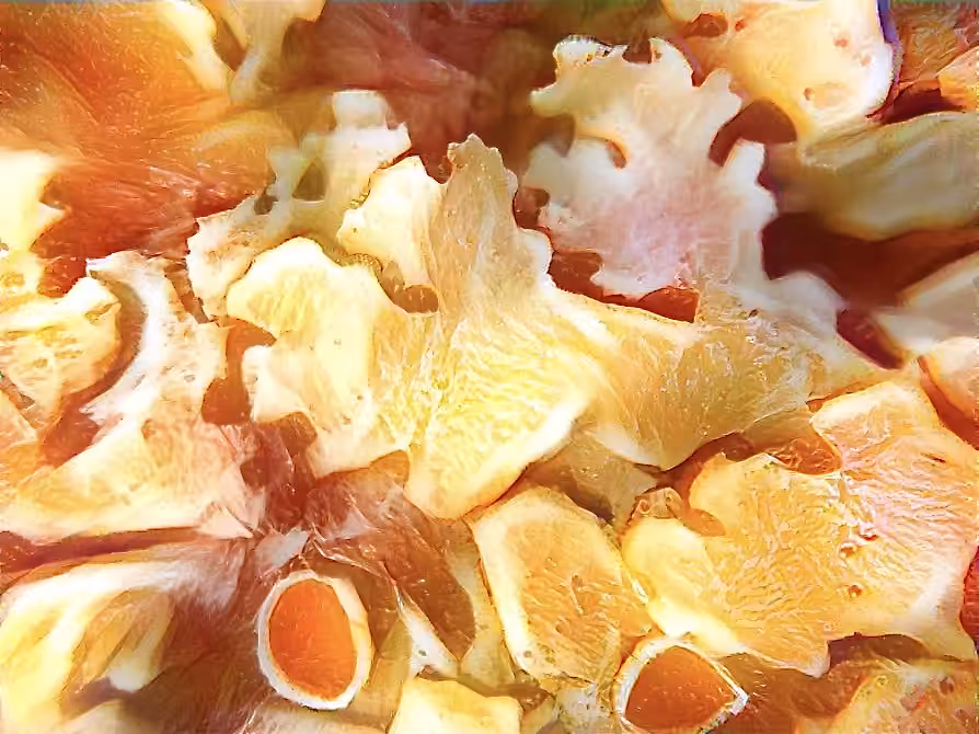 lichen it (orange)