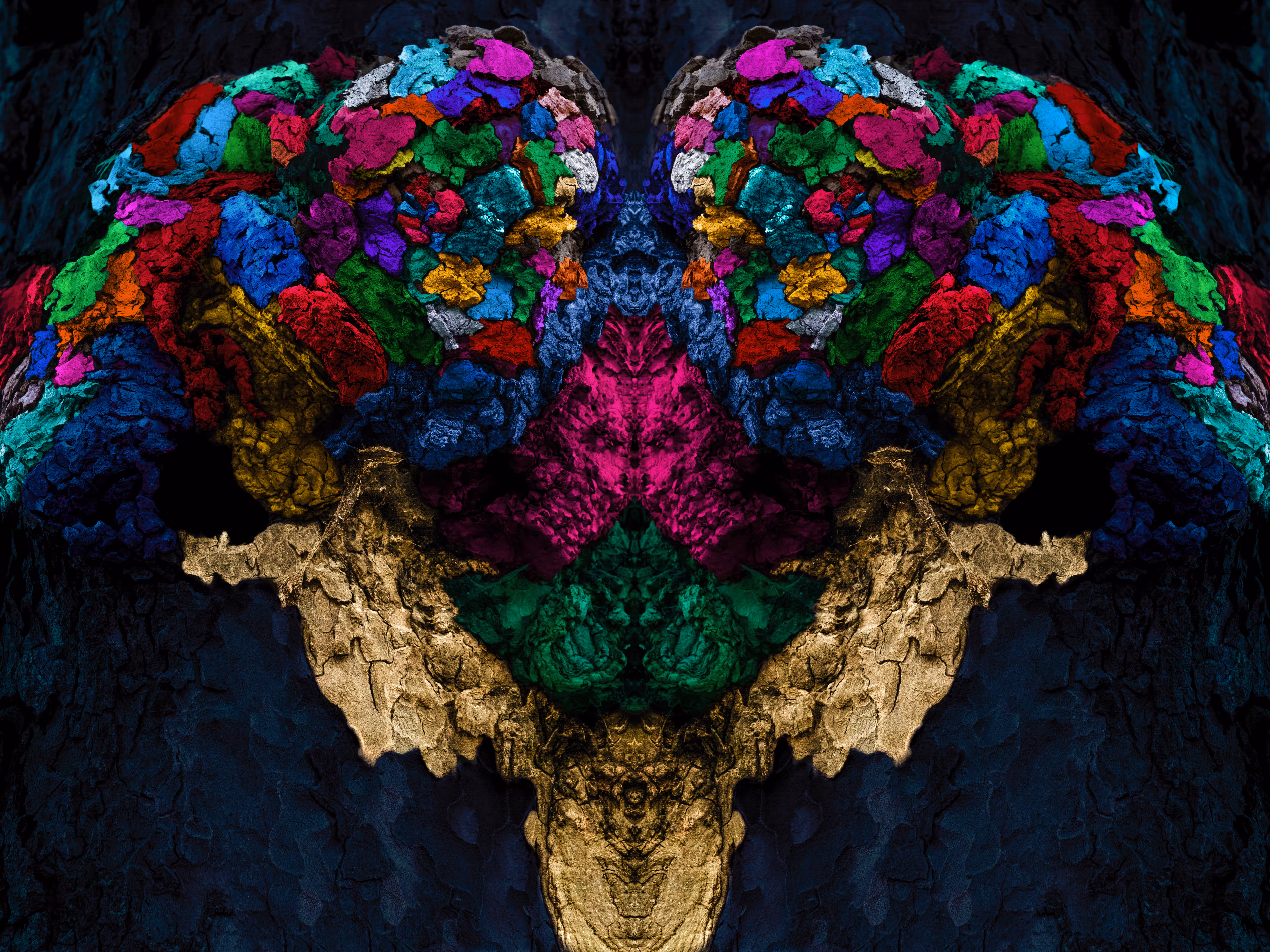 Rorschach #305