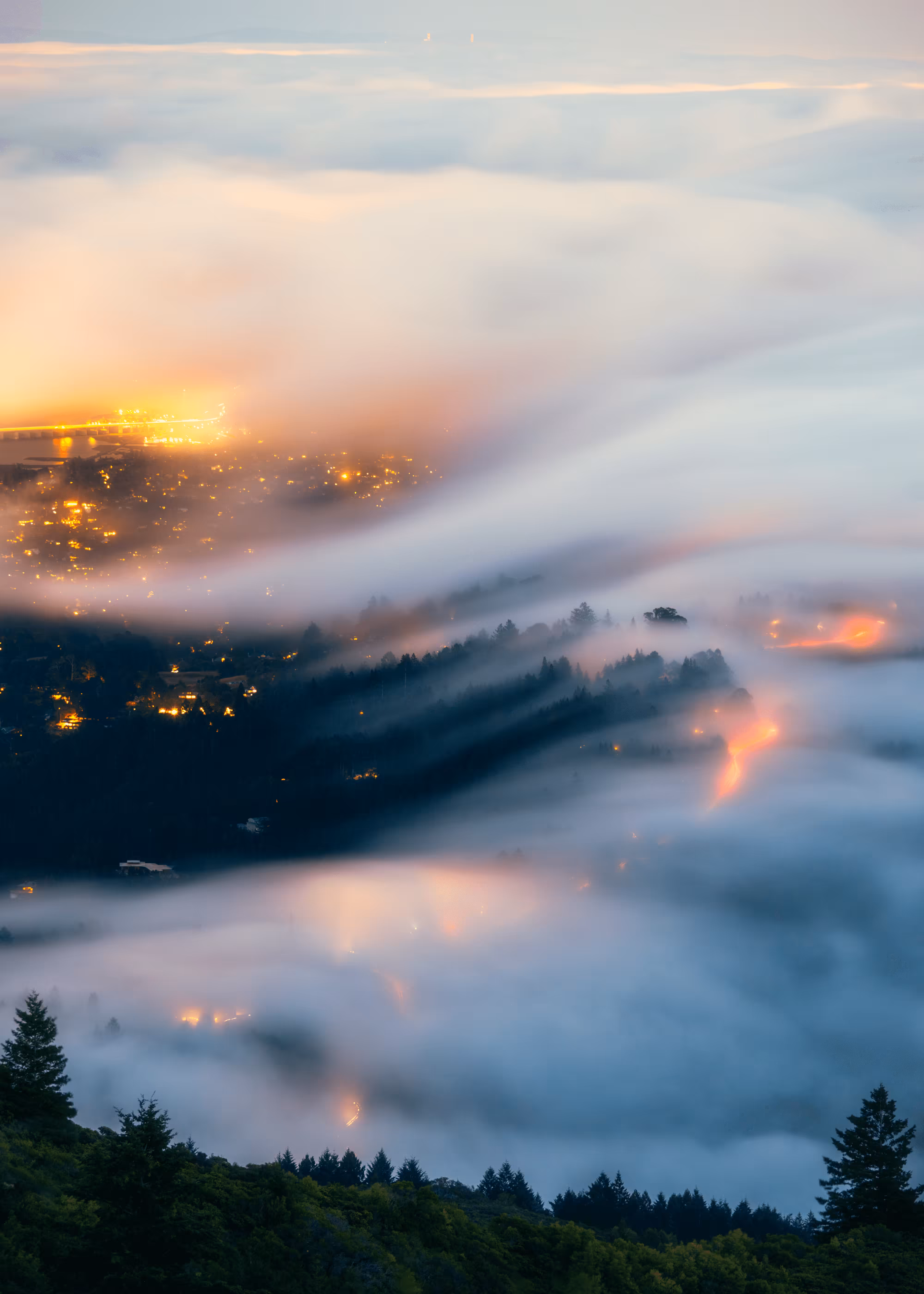 A Symphony of Fog #3