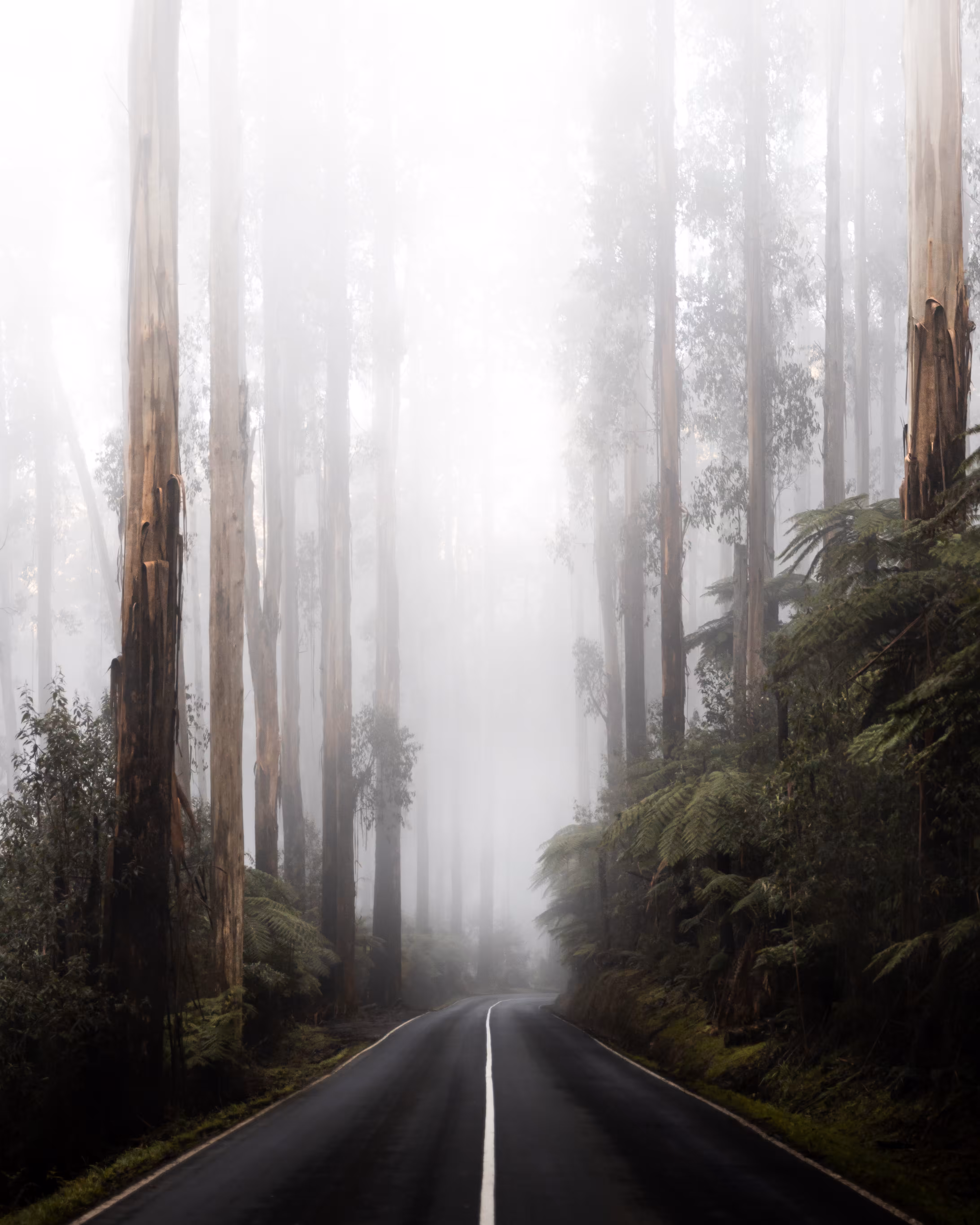 Peregrination