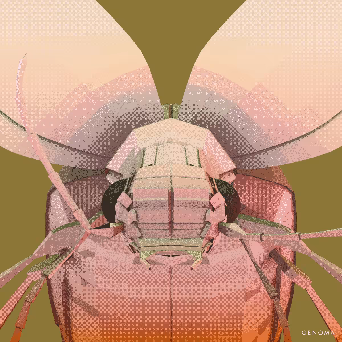 Bombardier Beetle Lo-Fi 1200x