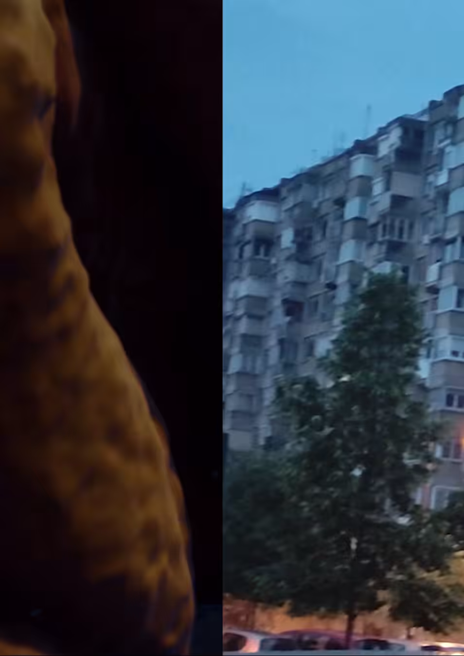 diptych 002
