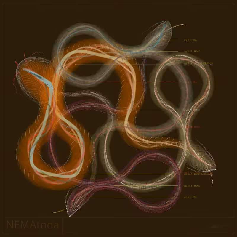 NEMA #1