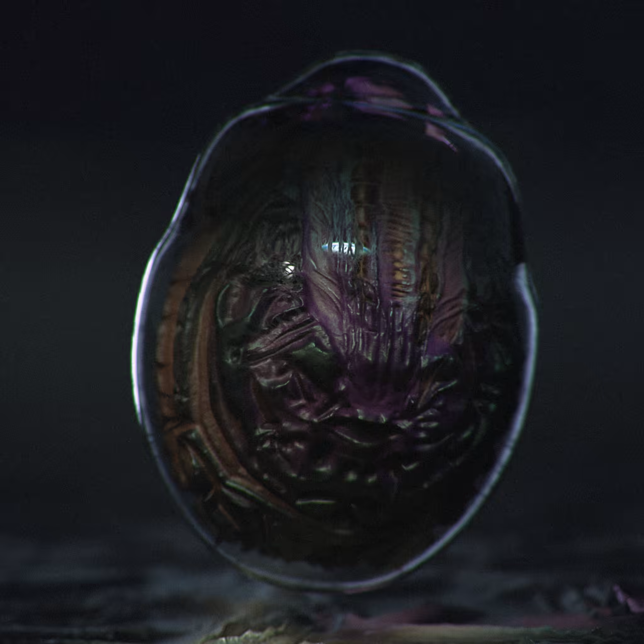 Stable Egg C