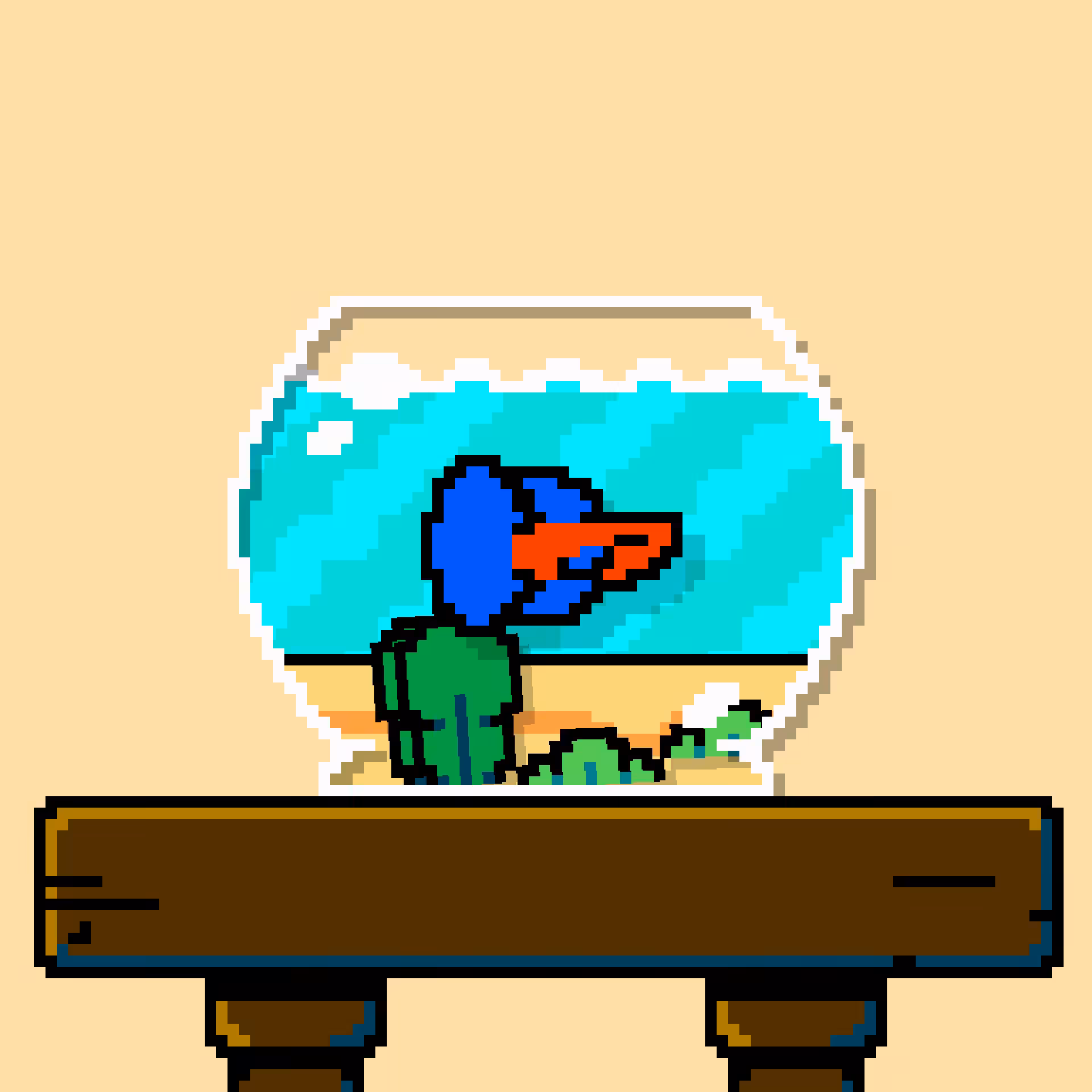 betta fish #512