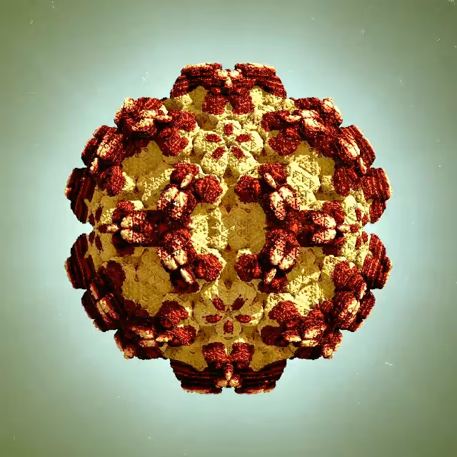 Virus X
