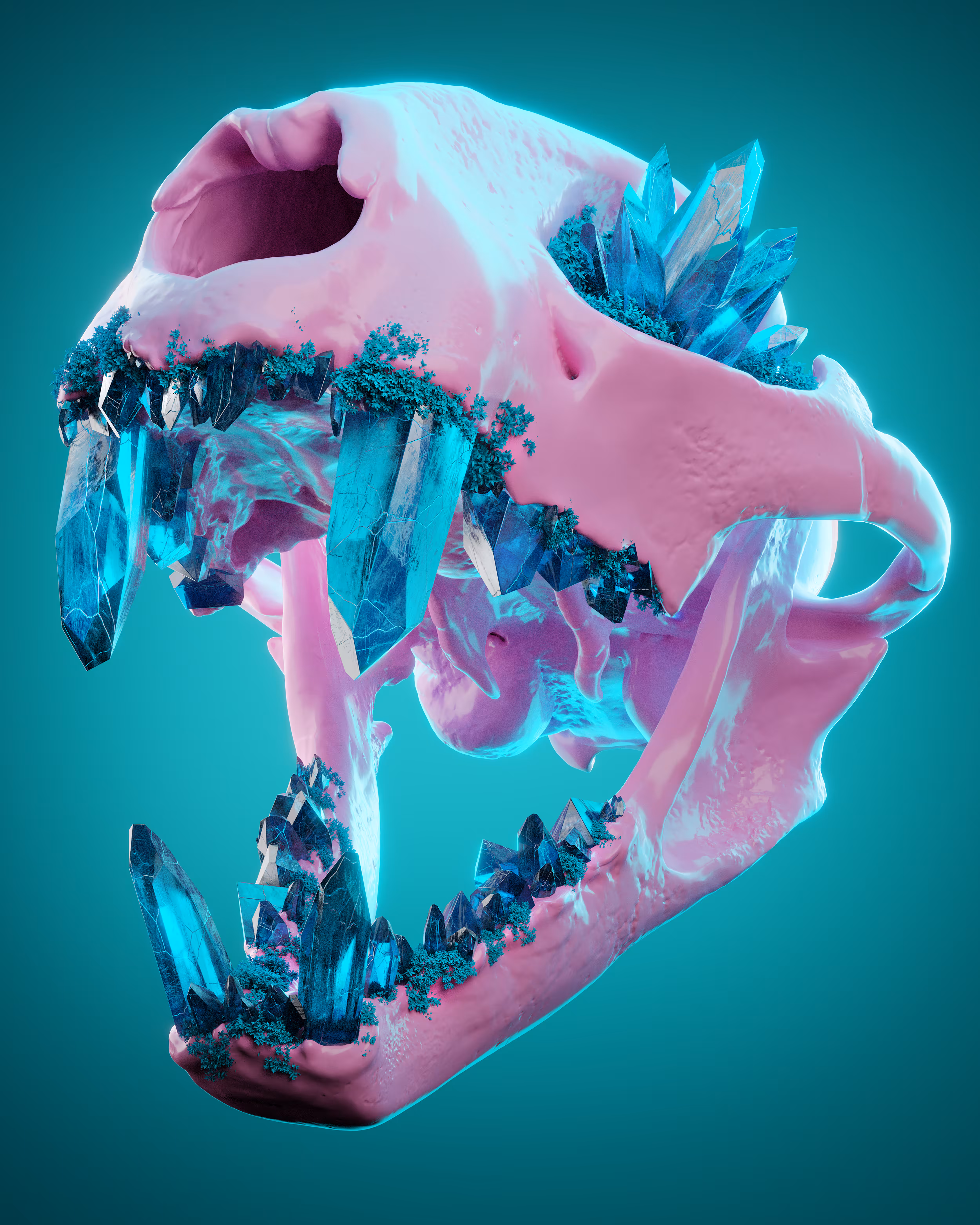 BŪIŁD ŪP
