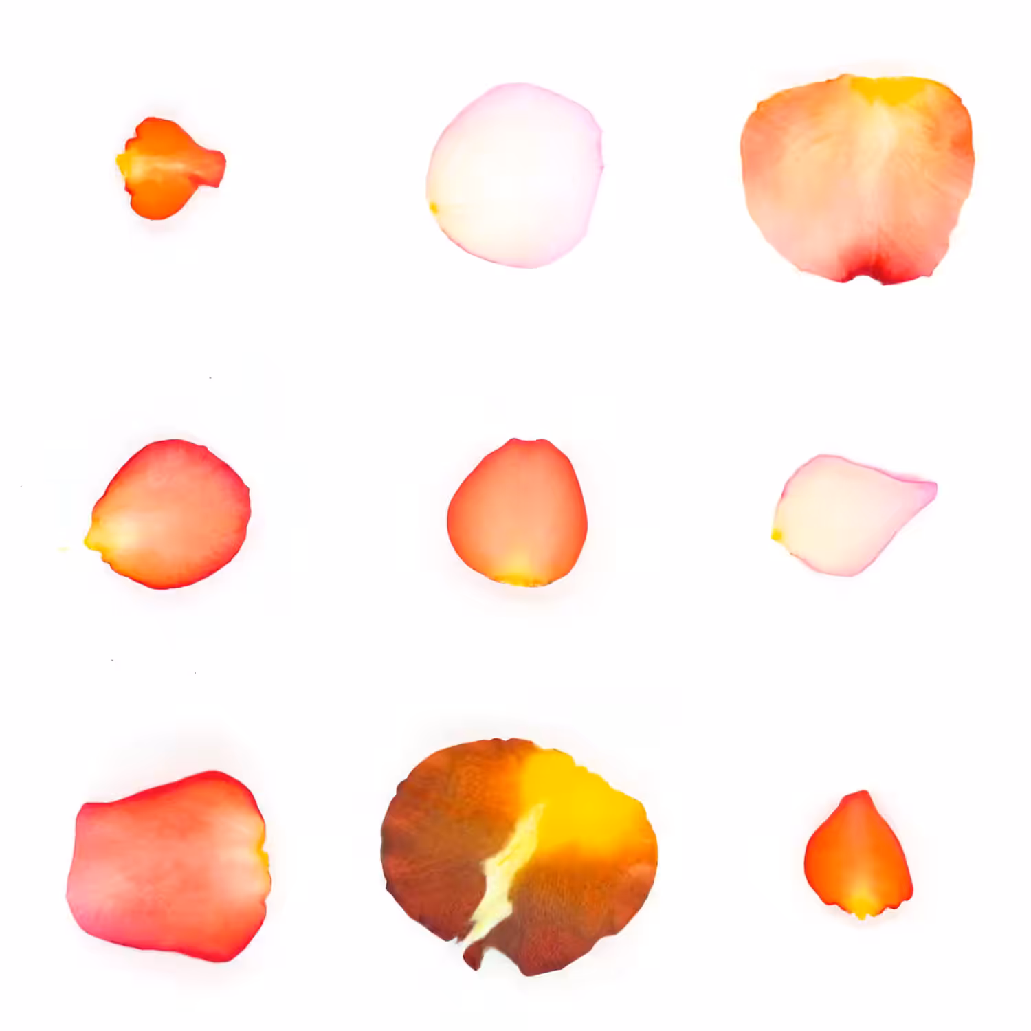 Infinite Petals 3x3#740