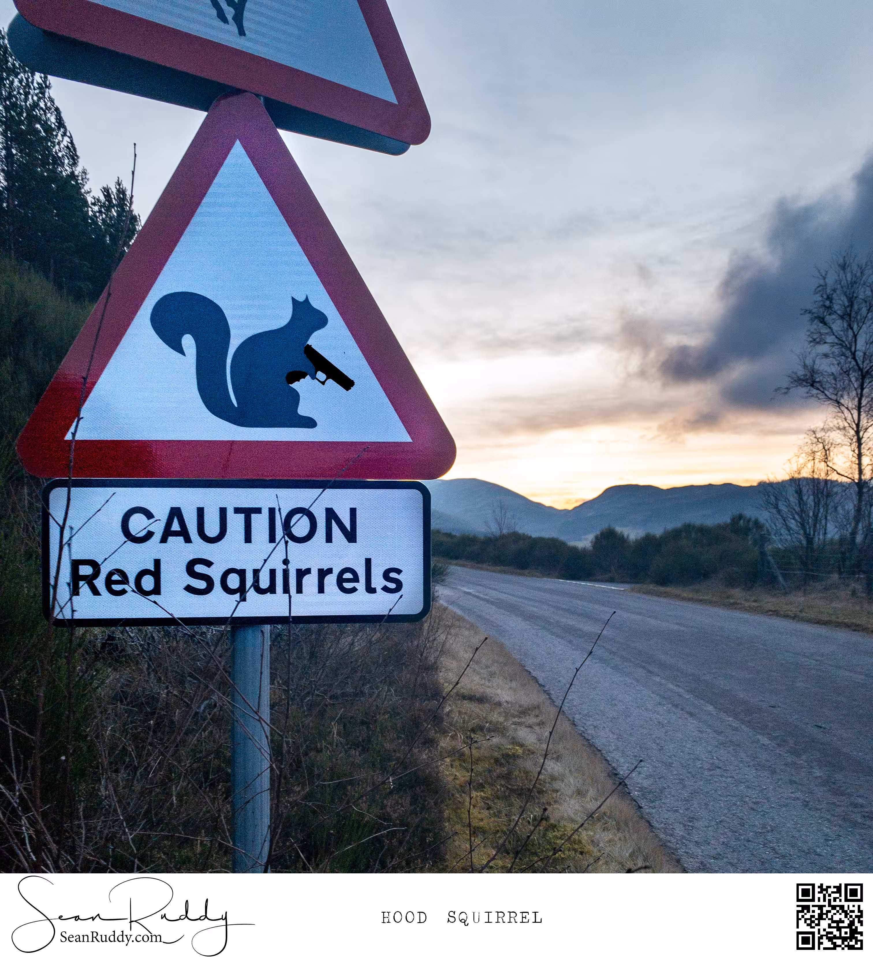 Hood Squirrel