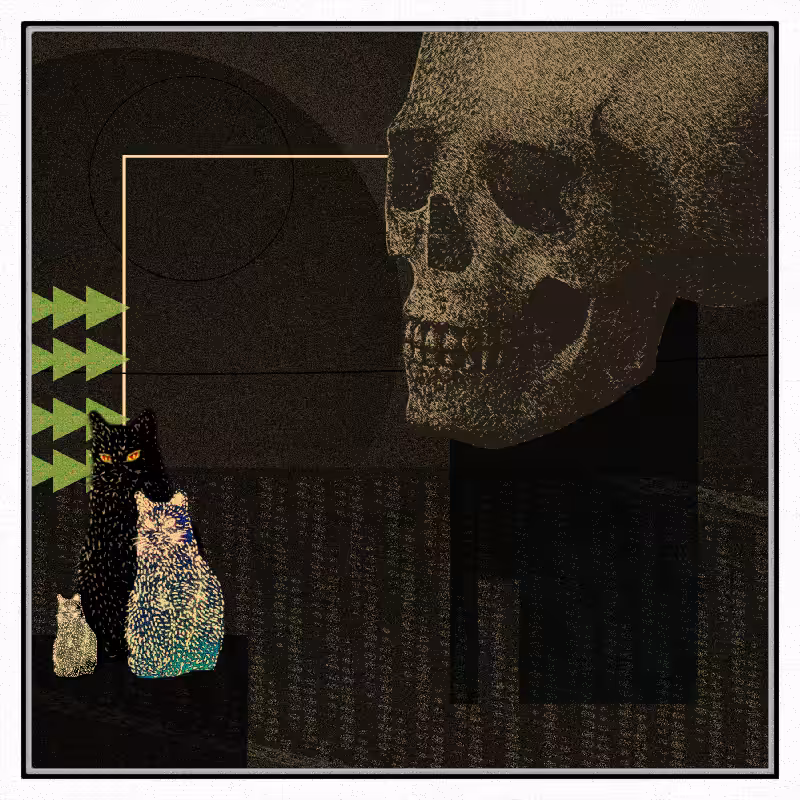 Salem #99