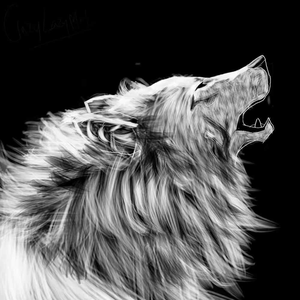 The white wolf 
