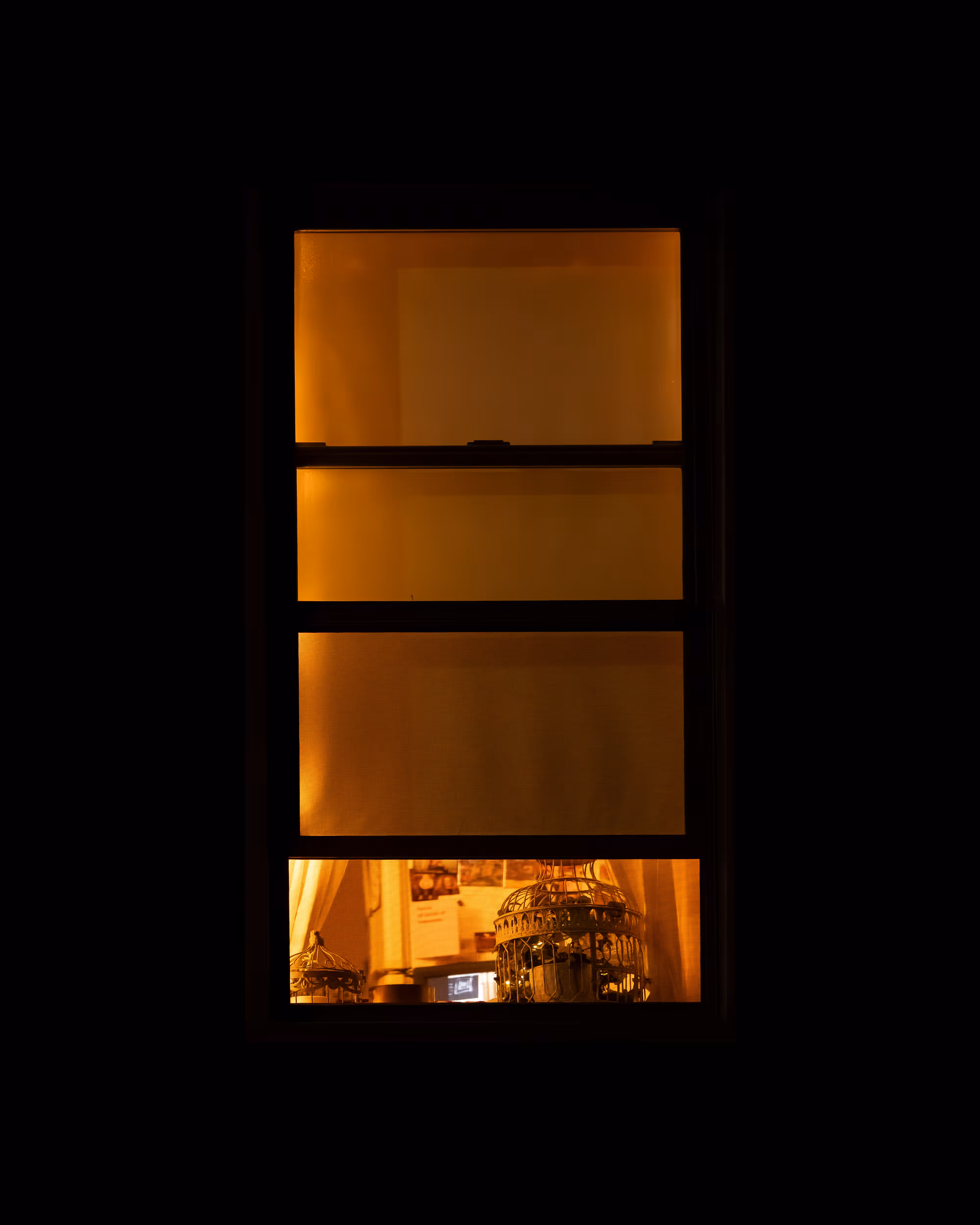WINDOW 731