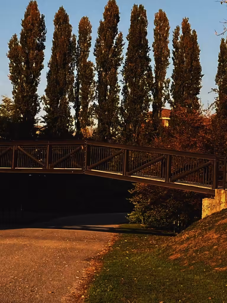 A Walk In The Park