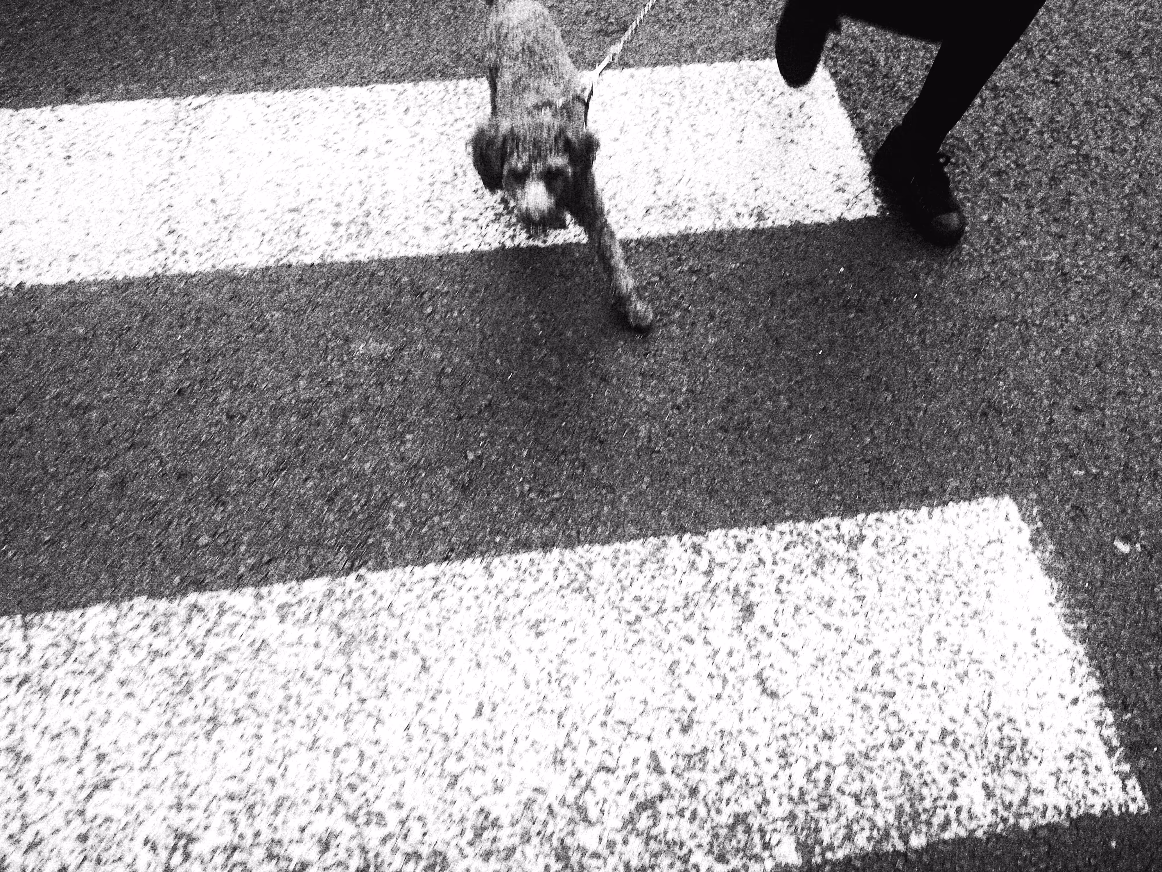 BWChina #89