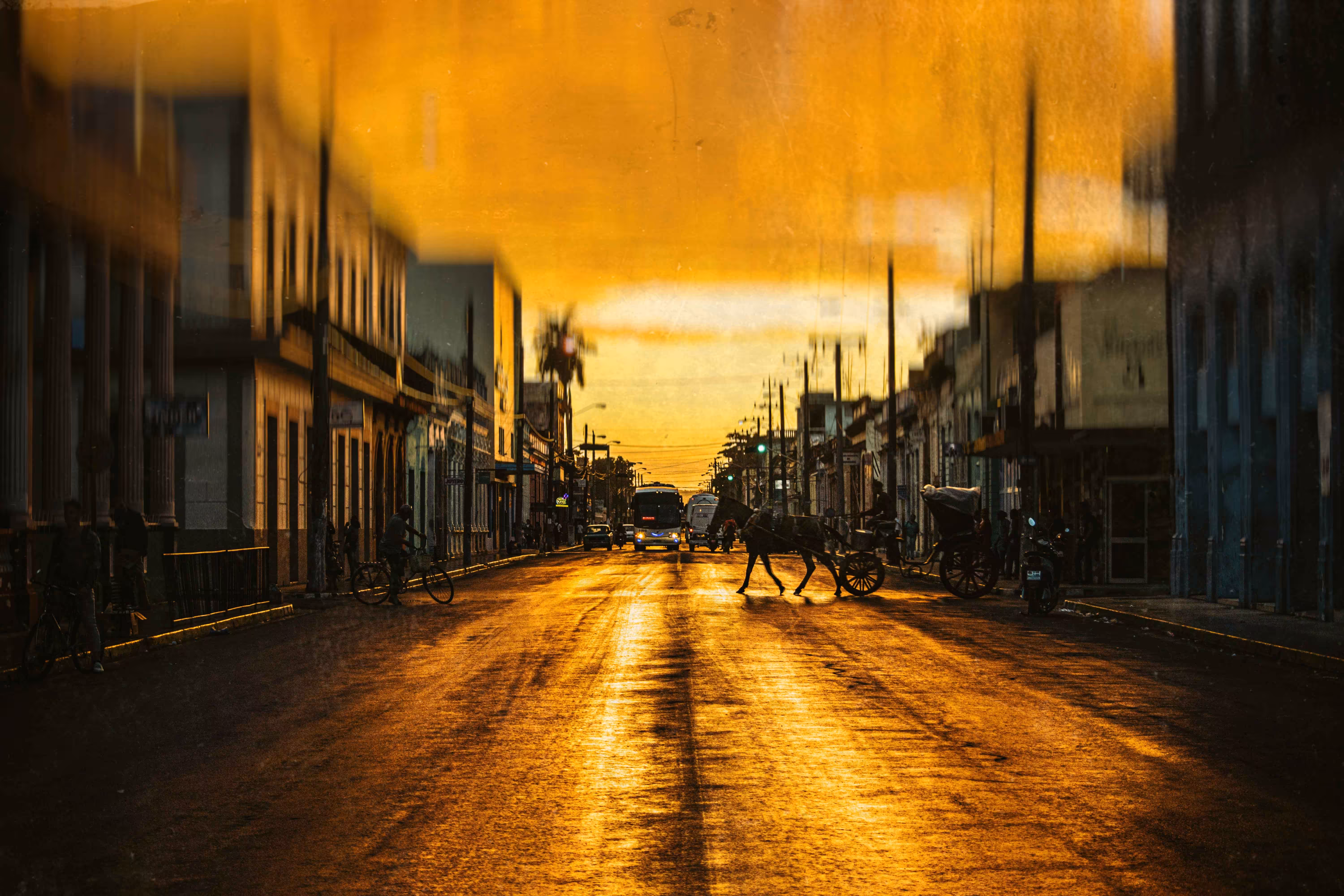 Golden Avenue