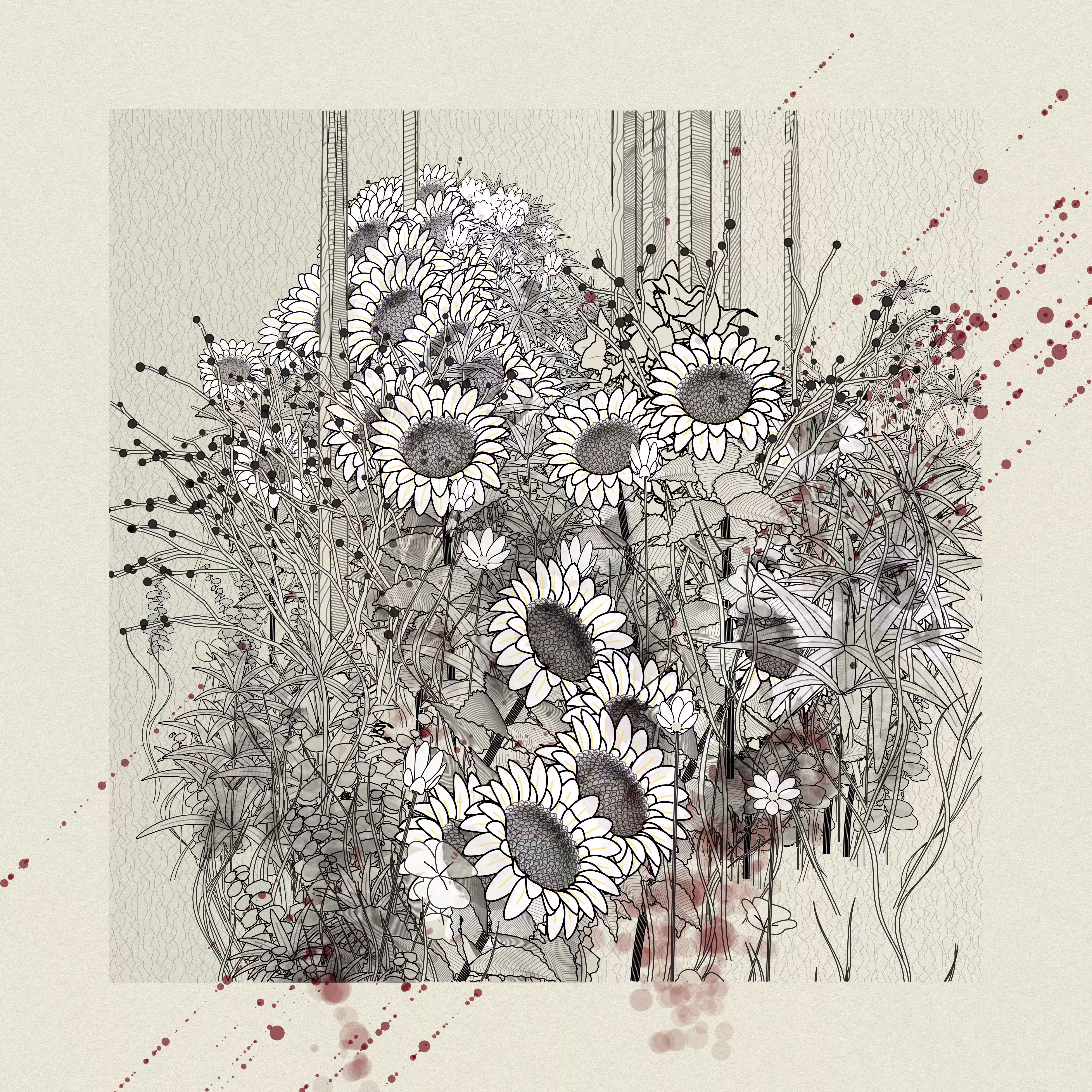 Sunflowers still