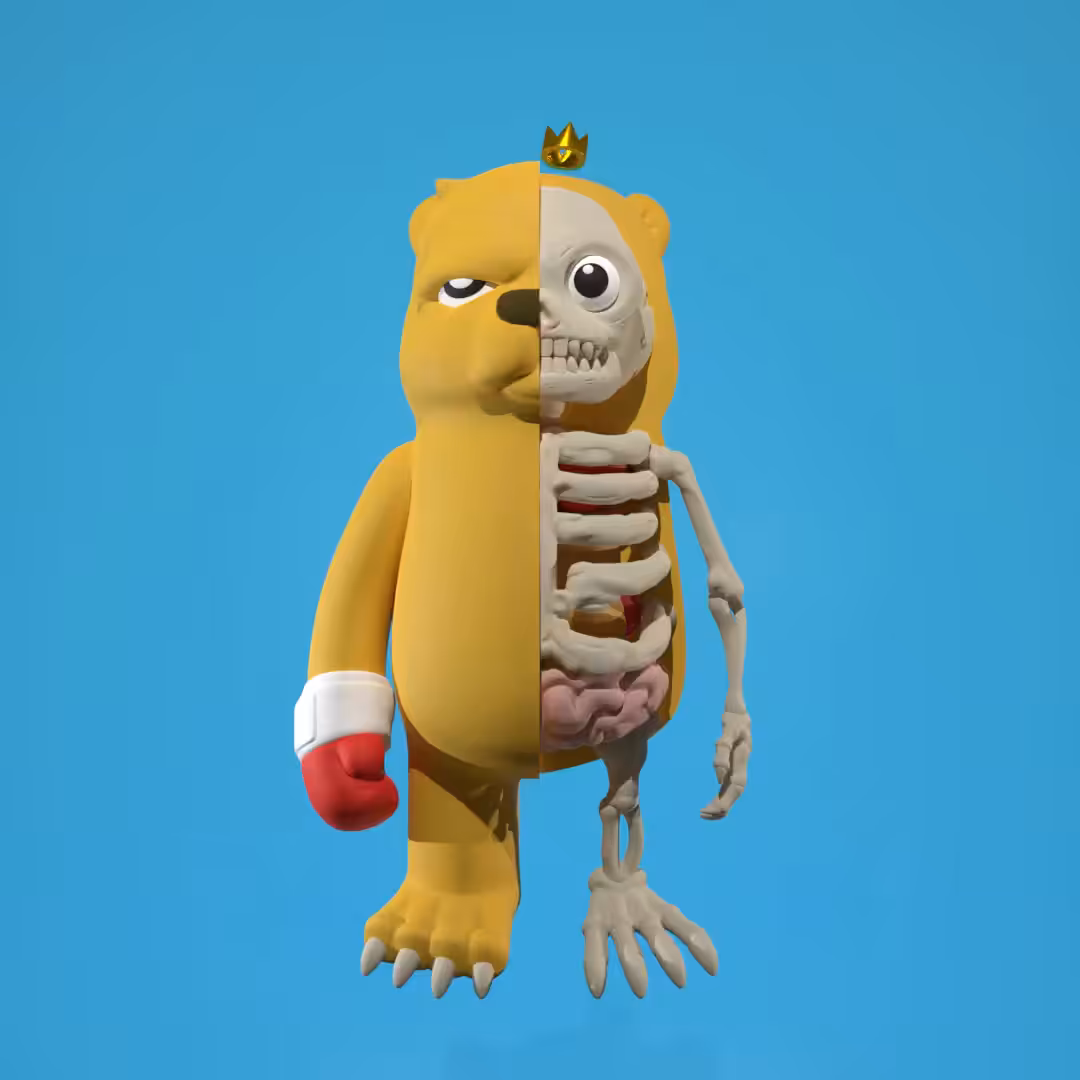 Dissected Bear Champ