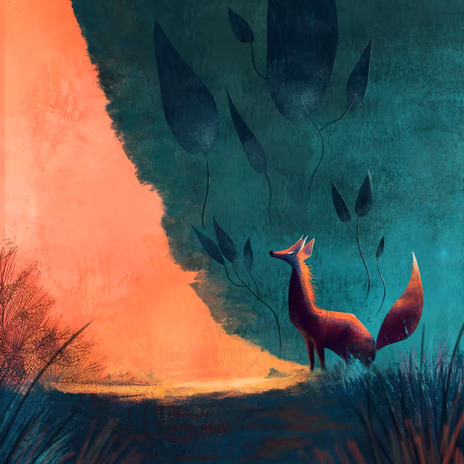 The fox mystery 