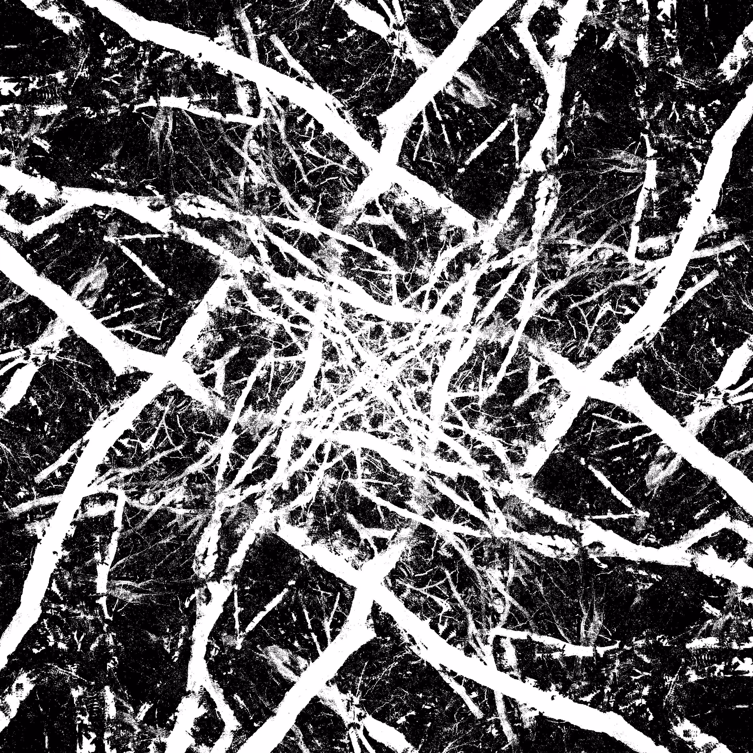 Machine Organic #20