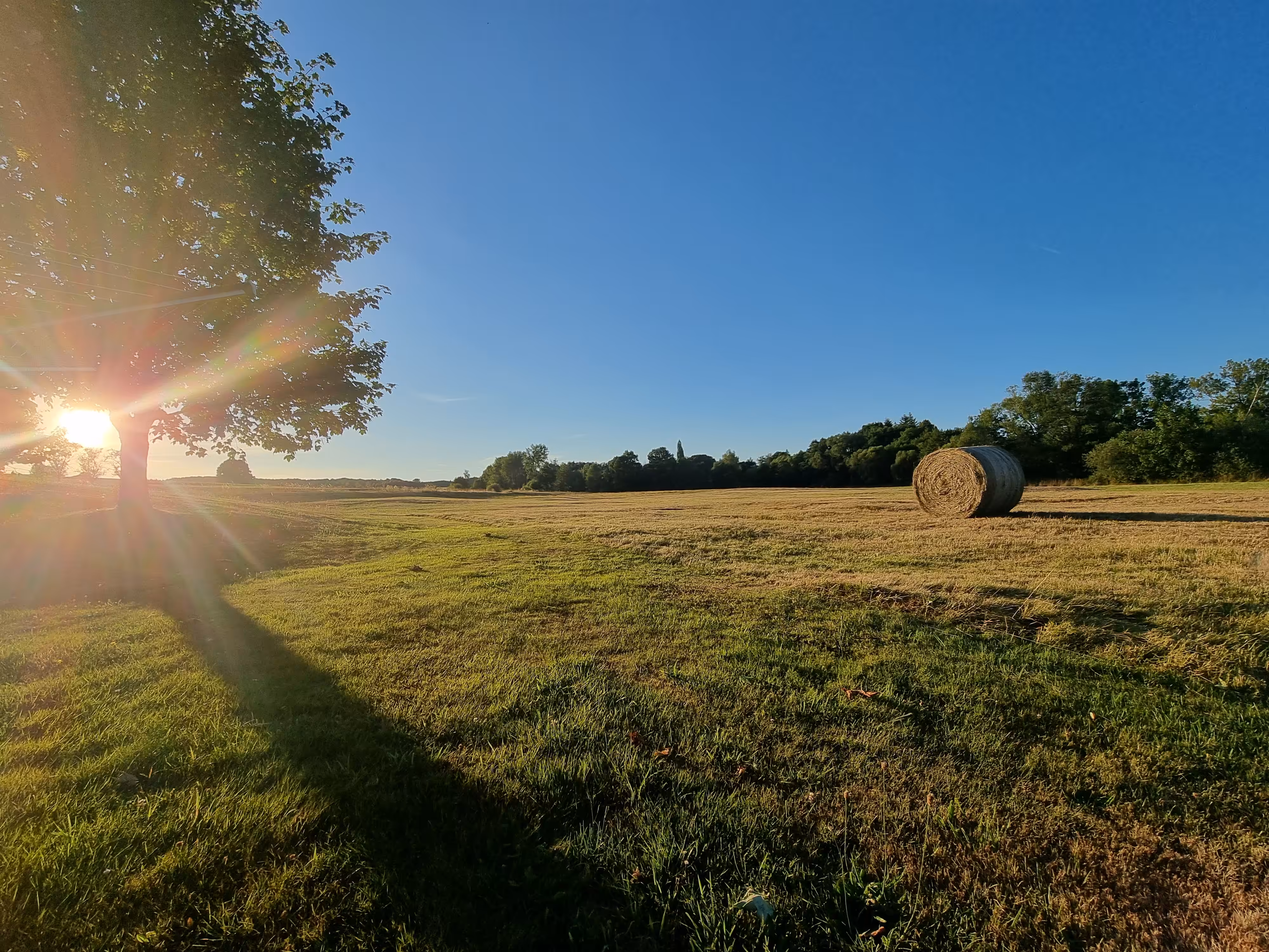 Hay Ball in Sunset
