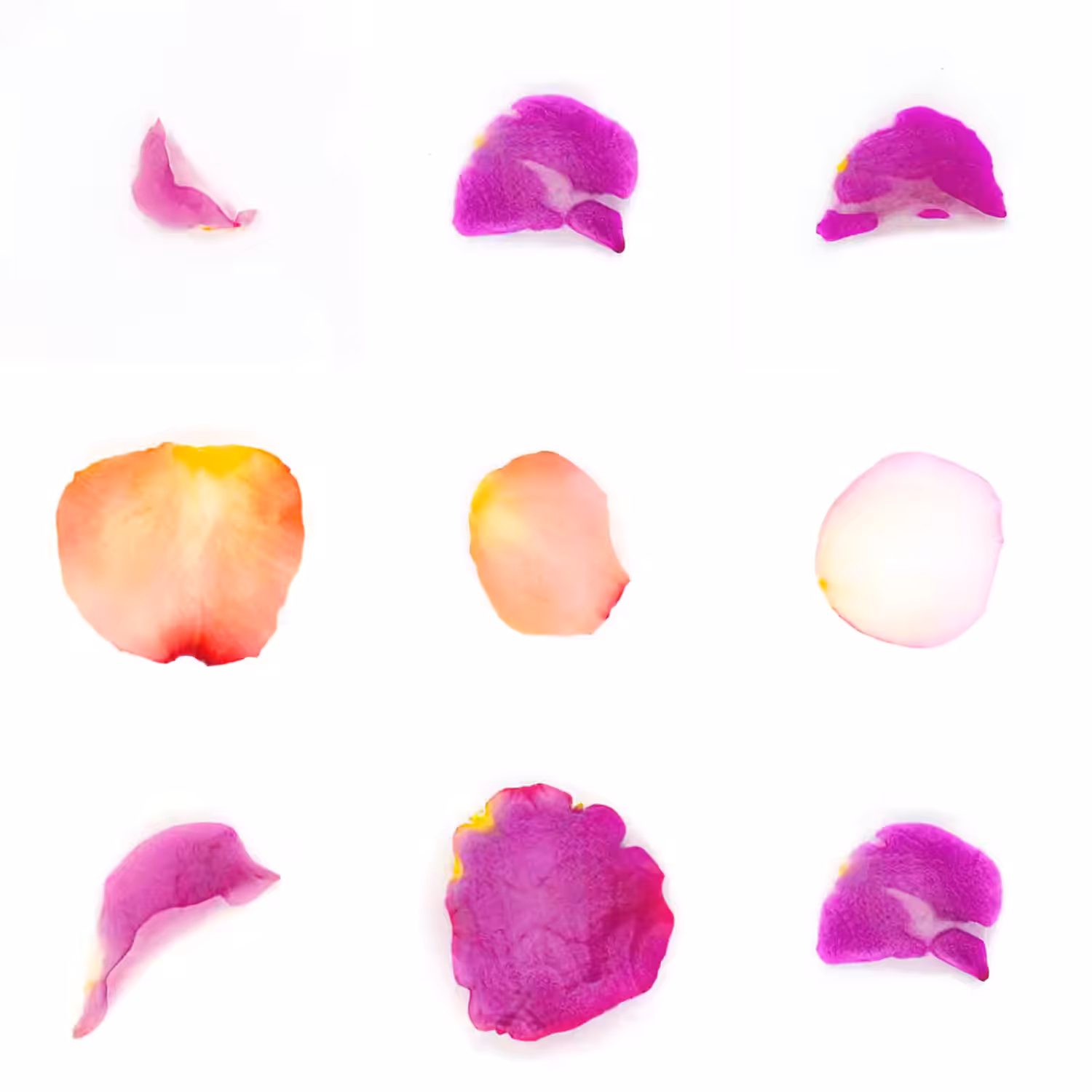 Infinite Petals 3x3#3319