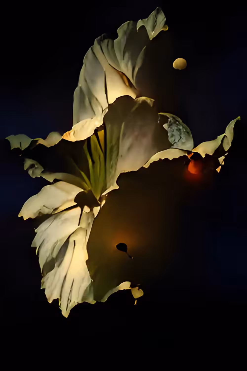 FLOWERS 5