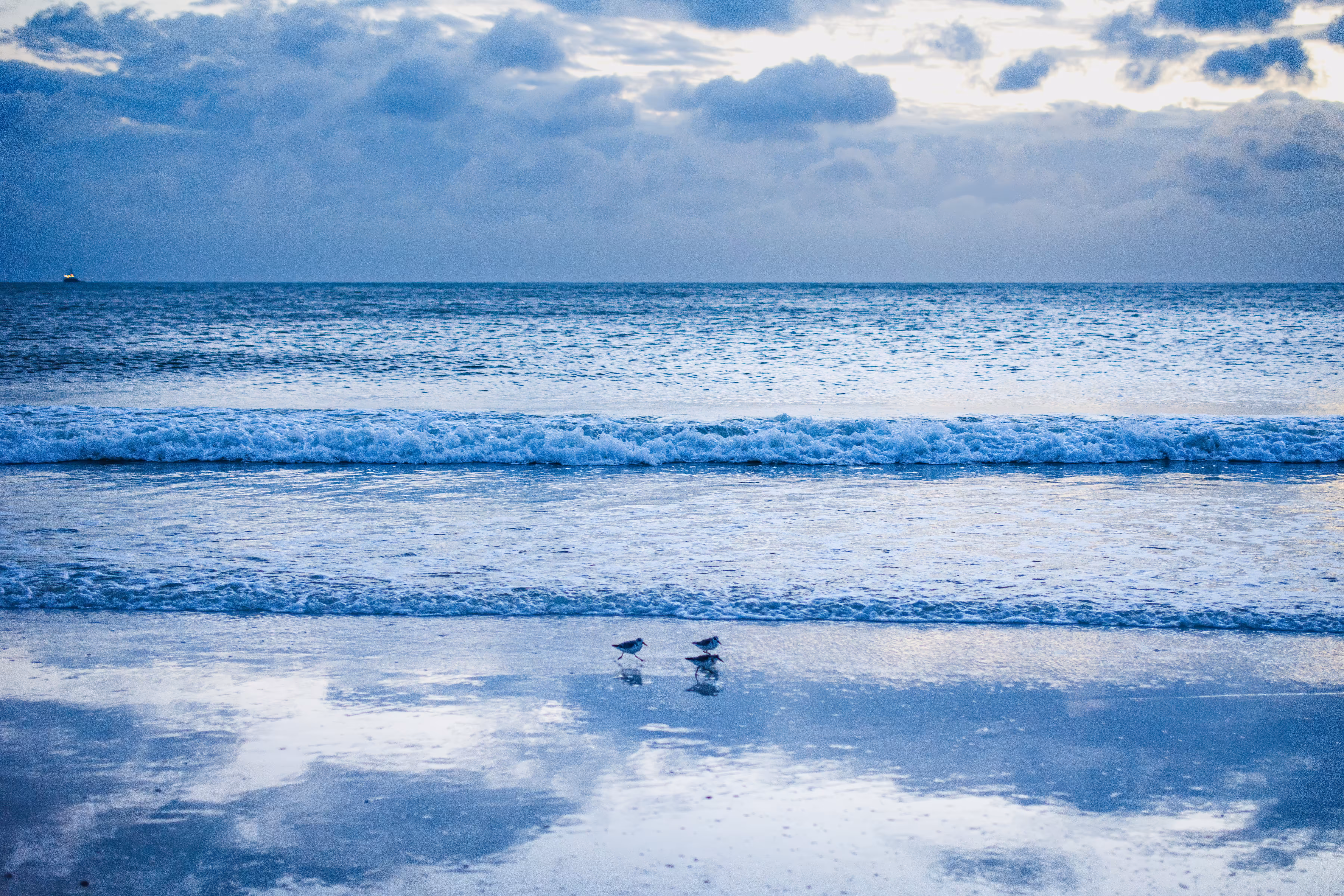 Anna Maria Blue