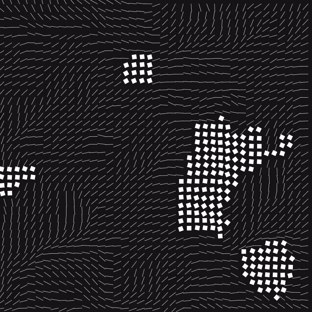 Geometric Fluidity #1