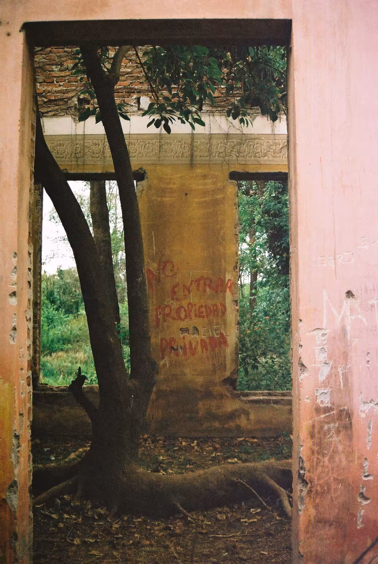 Una historia de abandono III