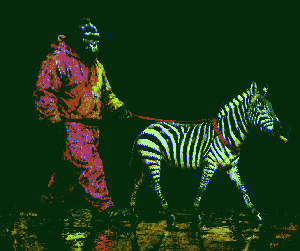 ArT....? Editions: The Handler