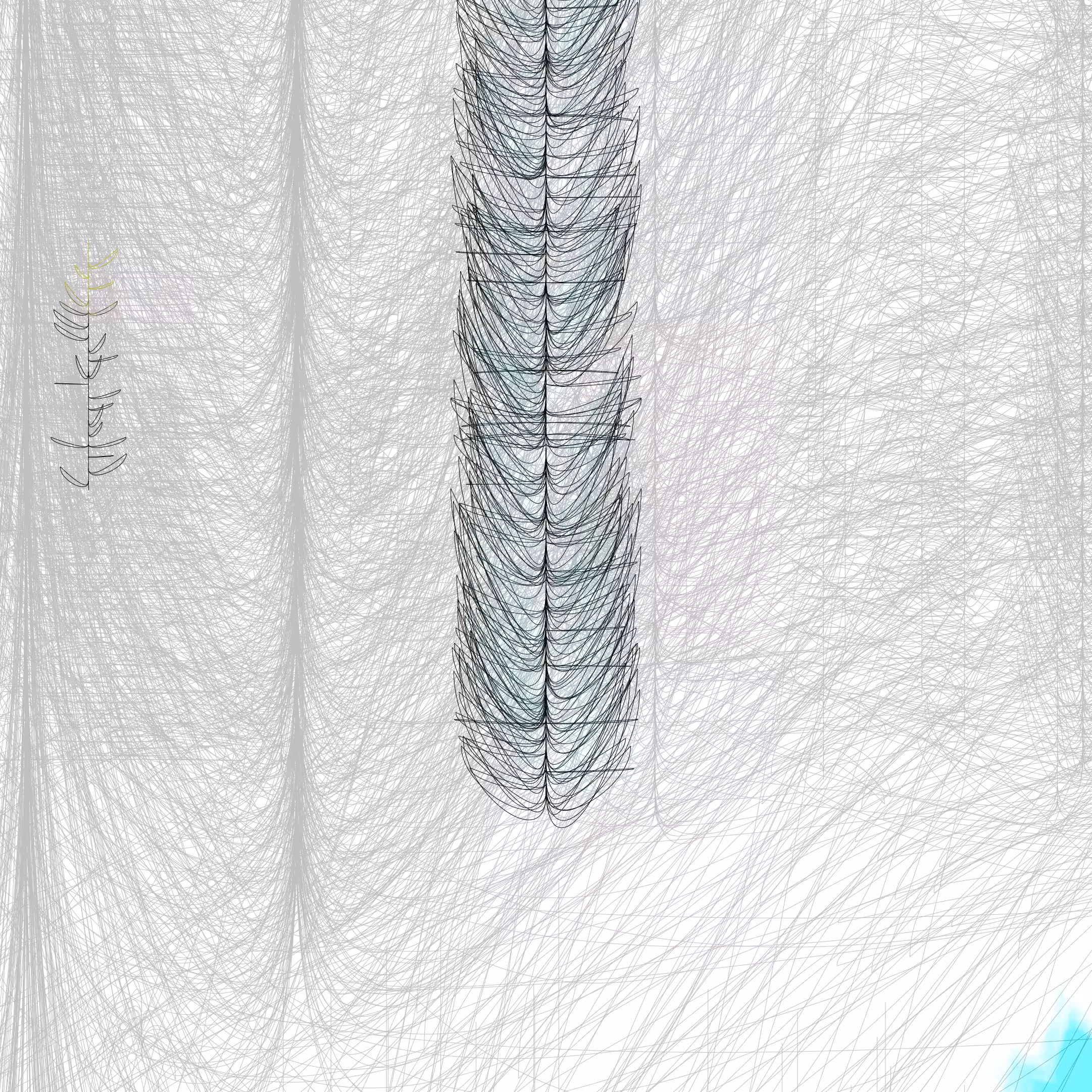 parametric growth patterns