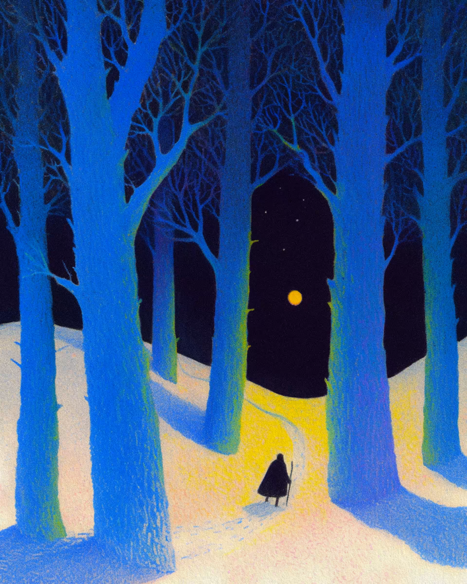 Enchanted Forest