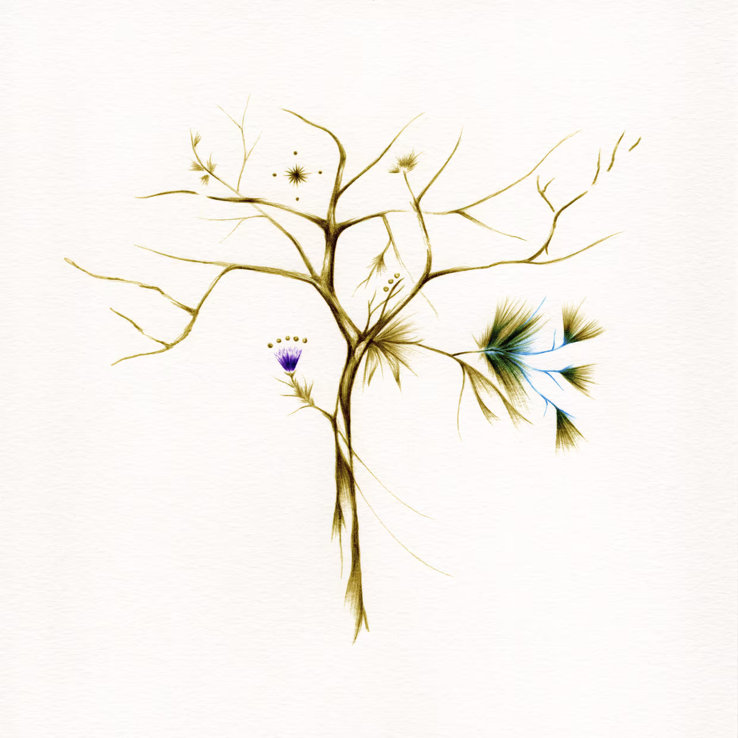imaginary trees: imaginary tree #15