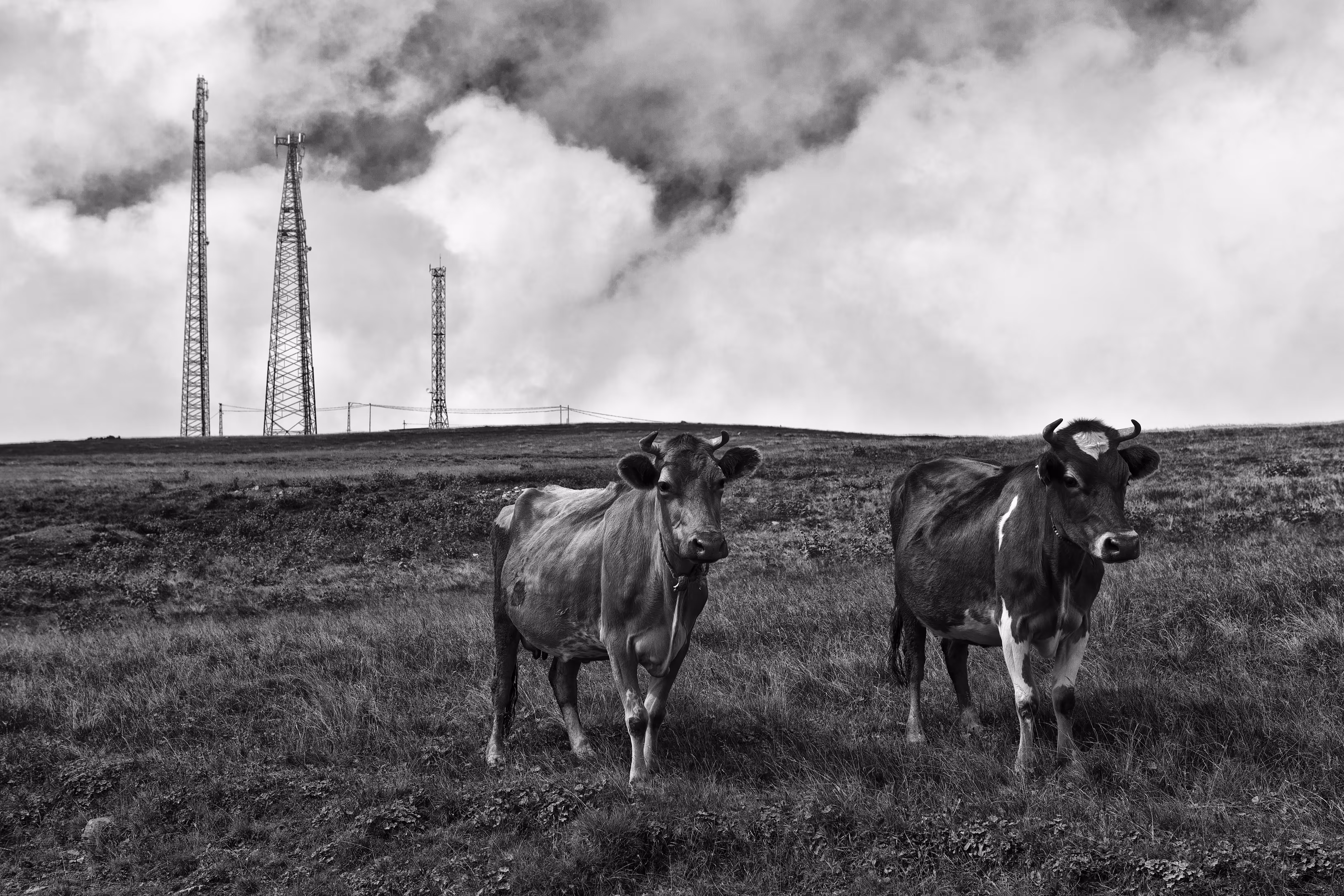 The Transformation