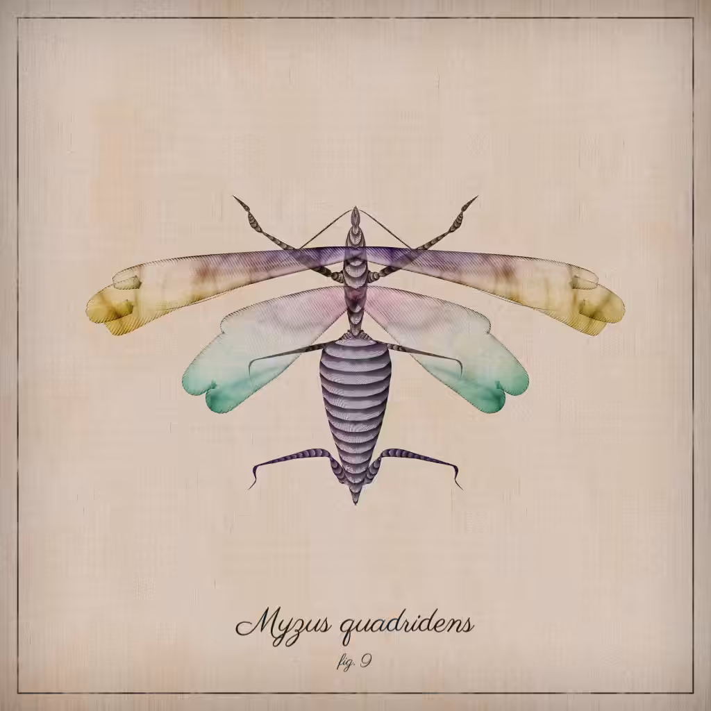 ProcGen Entomology #488