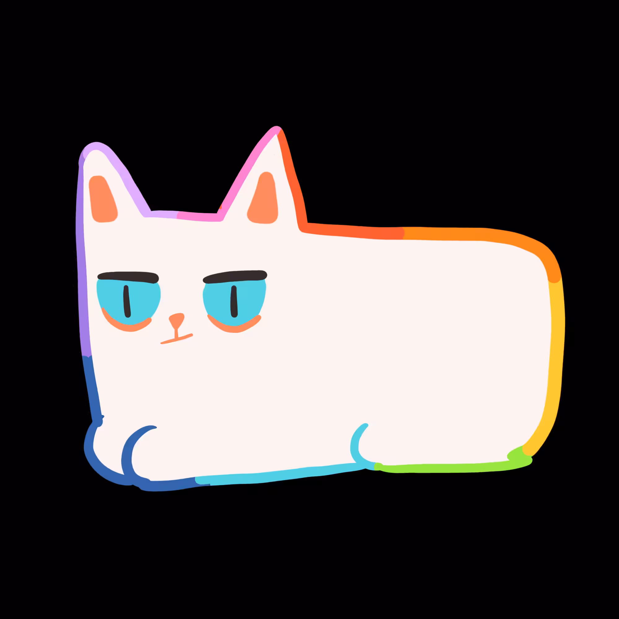 sunny white cat