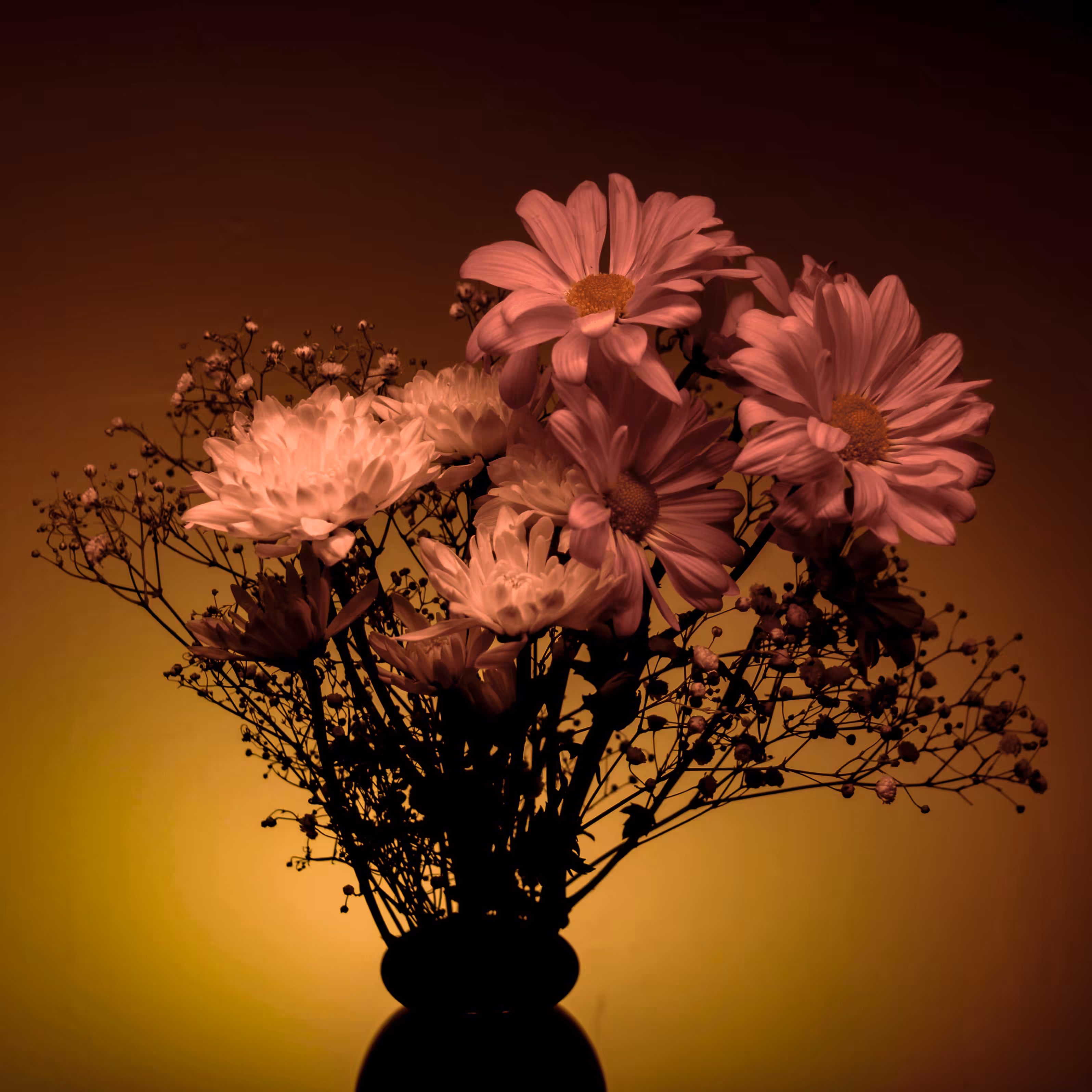 Pink Gold