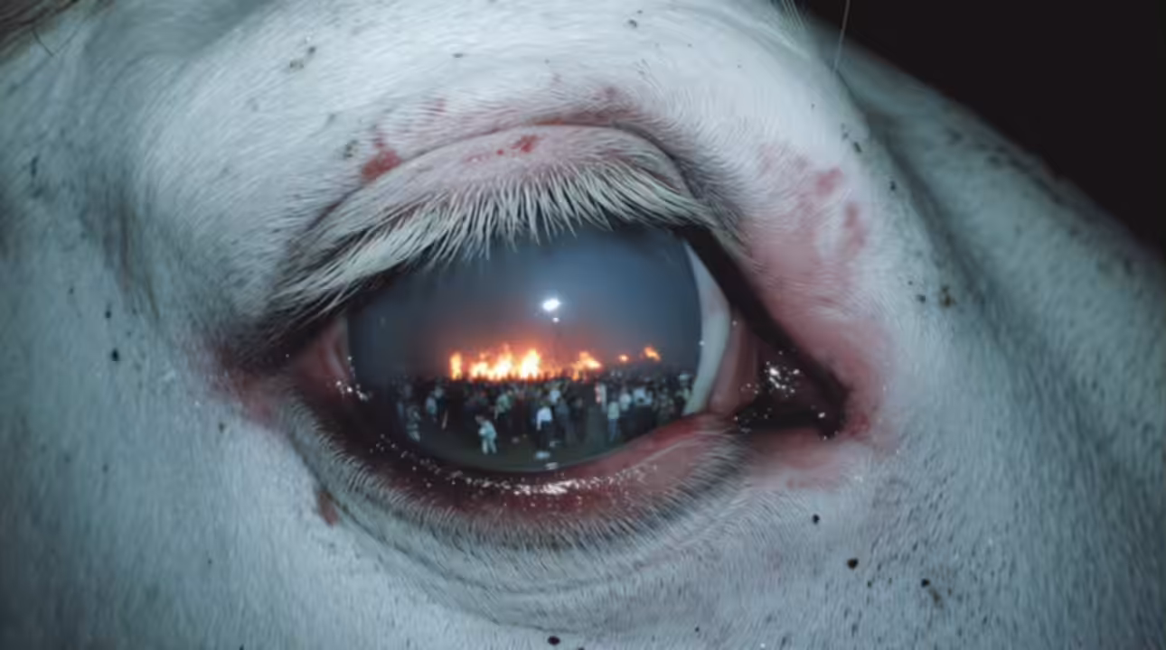 Ceremony of Fire
