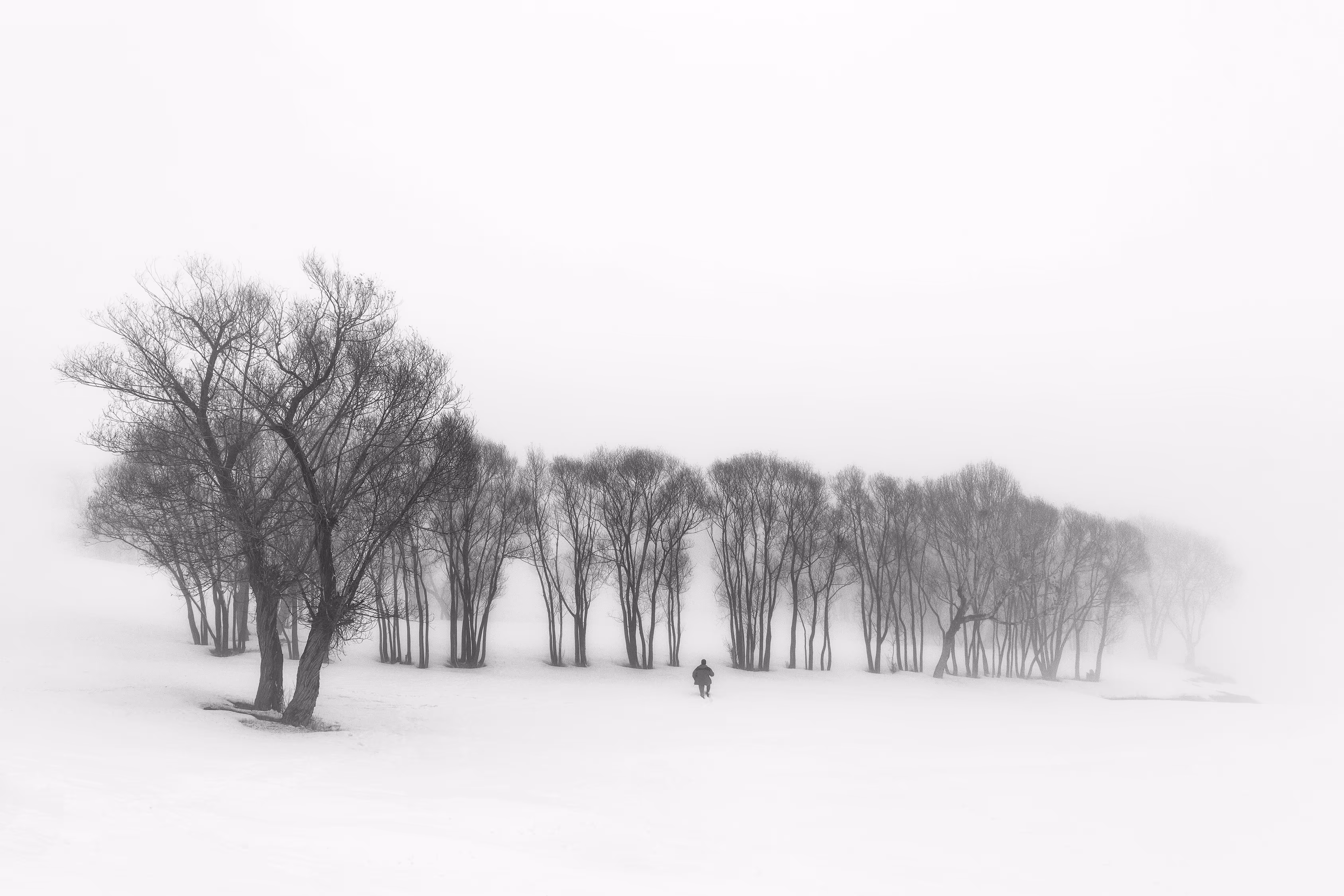 Safe Land #3