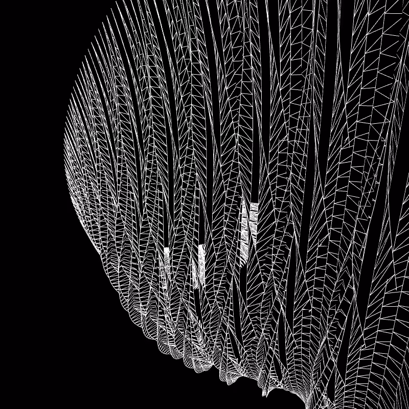Paths of life #129