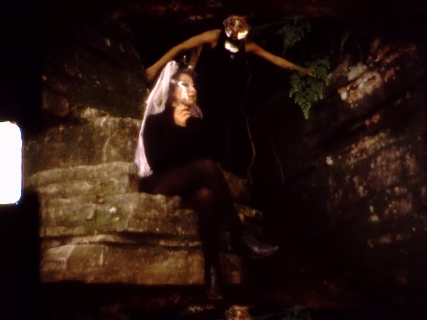 SACRED CATS SNIPPET I