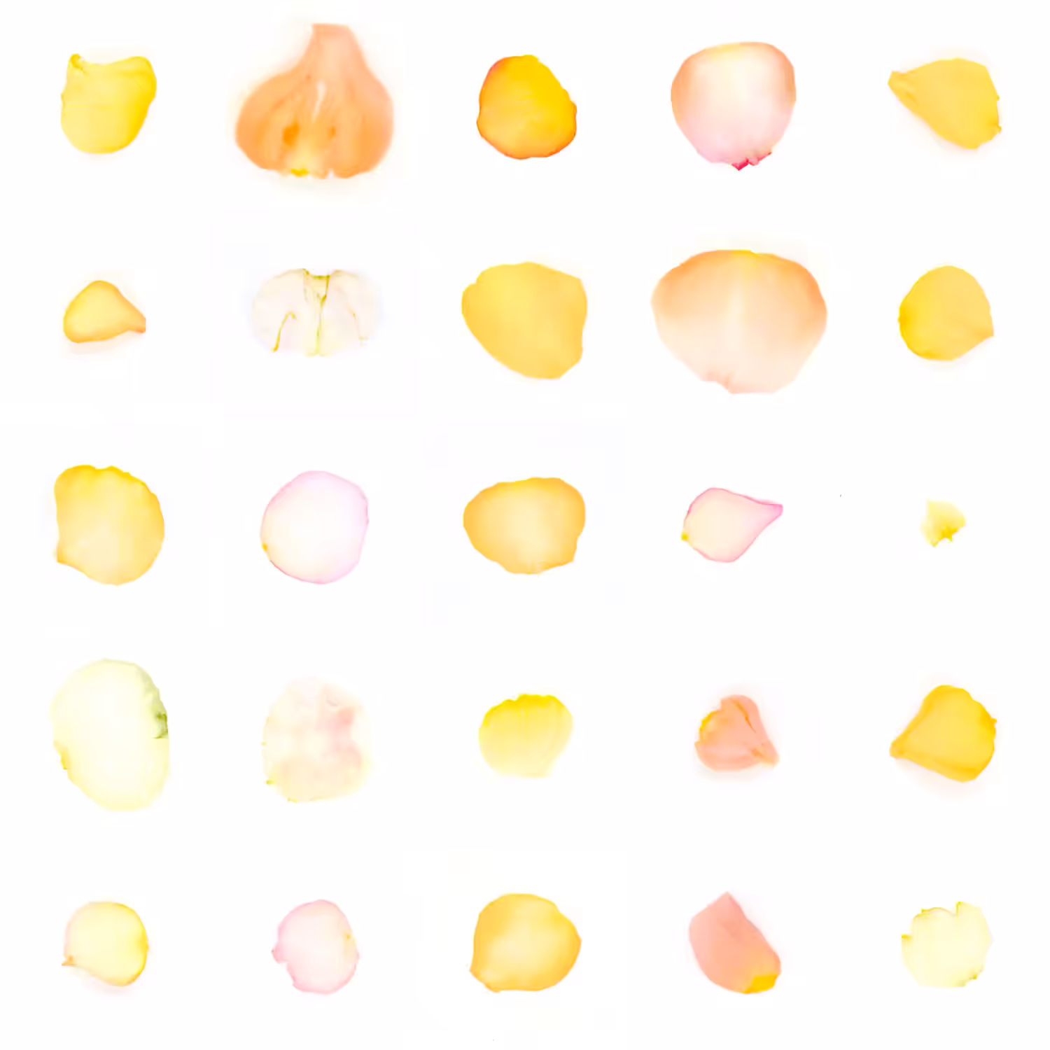 Infinite Petals 5x5#456