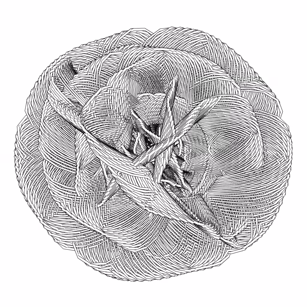 LL21 Entangled (3) #572